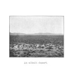alkali desert